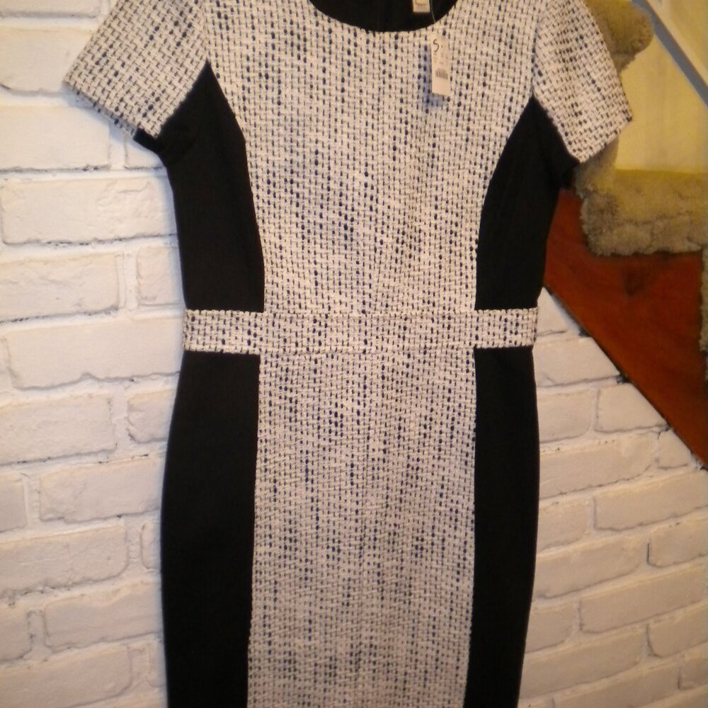 J Crew  Dress